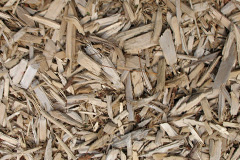 biomass boilers Cauldon