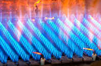 Cauldon gas fired boilers